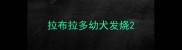 拉布拉多幼犬发烧