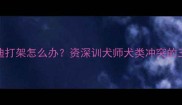 雪纳瑞和泰迪打架怎么办资深训犬师犬类冲突的三大解决法则