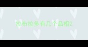 拉布拉多有几个品相