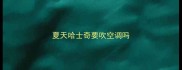 夏天哈士奇要吹空调吗