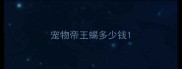 宠物帝王蝎多少钱