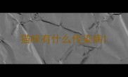 猫咪有什么传染病