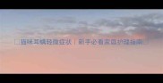 猫咪耳螨轻微症状新手必看家庭护理指南