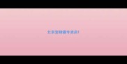 北京宠物猫专卖店