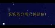 狗狗能分辨几种颜色