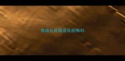 泰迪长皮屑是皮肤病吗