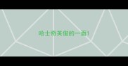 哈士奇英俊的一面