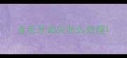 金毛牙齿尖怎么处理