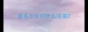 金毛出生打什么疫苗