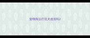宠物狗没打狂犬疫苗吗