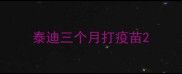 泰迪三个月打疫苗
