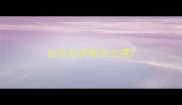 金毛幼犬粮怎么喂