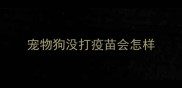 宠物狗没打疫苗会怎样