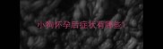 小狗怀孕后症状有哪些