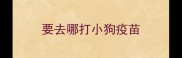 要去哪打小狗疫苗
