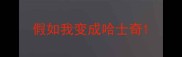 假如我变成哈士奇