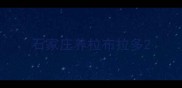 石家庄养拉布拉多