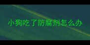 小狗吃了防腐剂怎么办