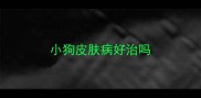 小狗皮肤病好治吗