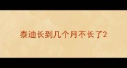 泰迪长到几个月不长了