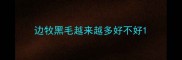边牧黑毛越来越多好不好