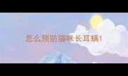 怎么预防猫咪长耳螨