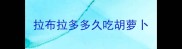拉布拉多多久吃胡萝卜