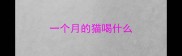 一个月的猫喝什么