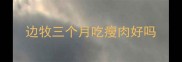 边牧三个月吃瘦肉好吗