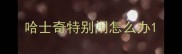 哈士奇特别闹怎么办