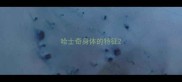 哈士奇身体的特征