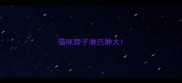 猫咪脖子淋巴肿大