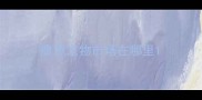 鹰潭宠物市场在哪里