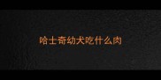 哈士奇幼犬吃什么肉