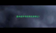 温州成年母拉布拉多转让