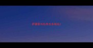 萨摩耶与拉布拉多掉毛