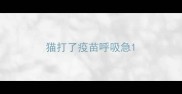 猫打了疫苗呼吸急