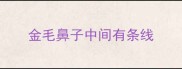 金毛鼻子中间有条线