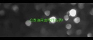 公泰迪尿血吃什么药