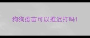 狗狗疫苗可以推迟打吗