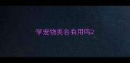 学宠物美容有用吗