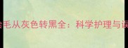 边境牧羊犬胎毛从灰色转黑全科学护理与误区避坑指南