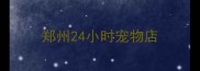 郑州24小时宠物店