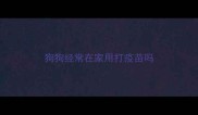 狗狗经常在家用打疫苗吗