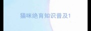 猫咪绝育知识普及