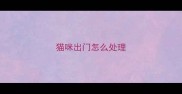 猫咪出门怎么处理