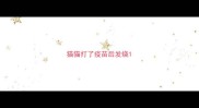 猫猫打了疫苗后发烧