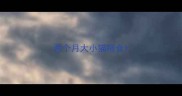 两个月大小猫喂食