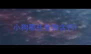 小狗哪些食物含钙