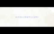 幼犬哈士奇能吃土豆吗